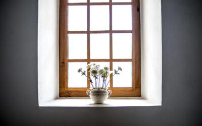 Quel type de fenêtres choisir en fonction de vos besoins ?